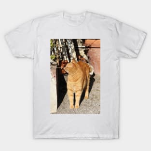How the world smells Cat Portrait T-Shirt
